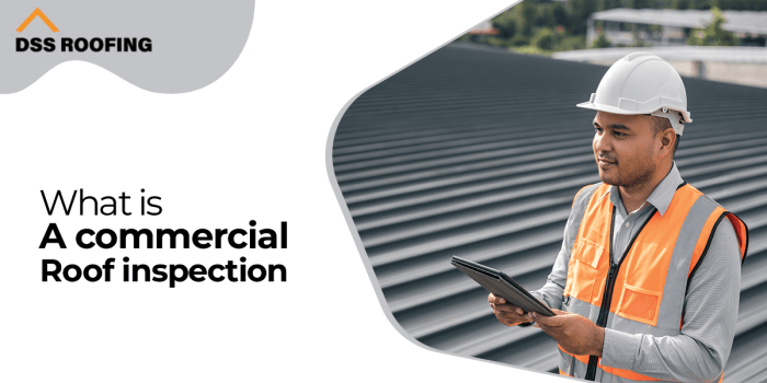 Commercial Roof Inspection Services | Affordable Inspection Cost