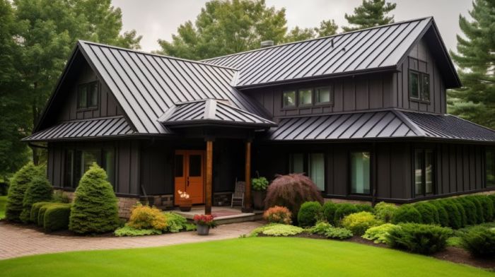 Your Go-To Residential Metal Roofing Company | Roof Giants